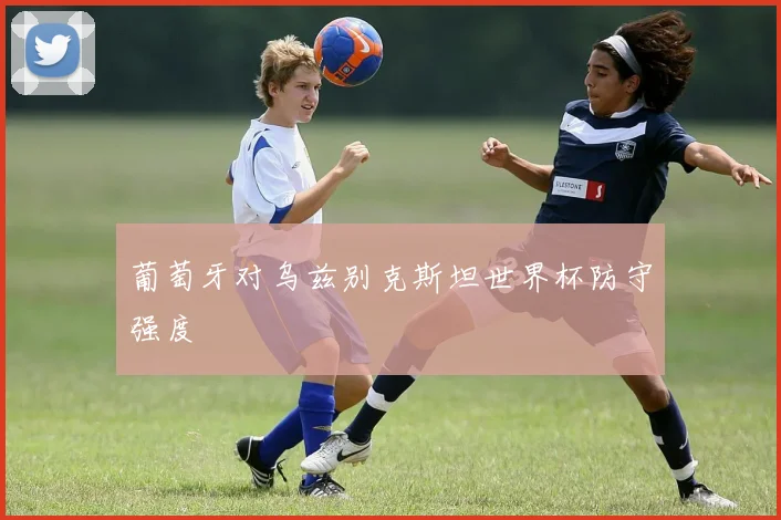 葡萄牙对乌兹别克斯坦世界杯防守强度