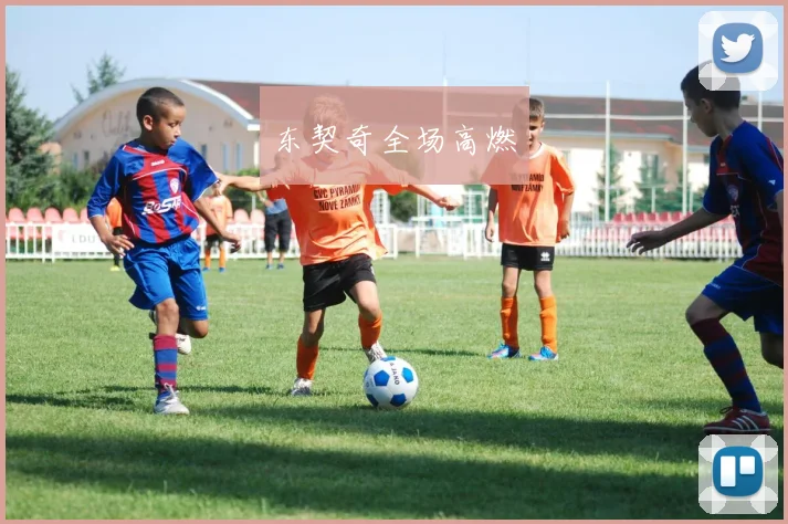东契奇全场高燃