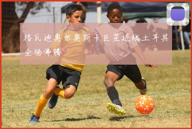 格瓦迪奥尔奥斯卡巨星连线土耳其全场沸腾