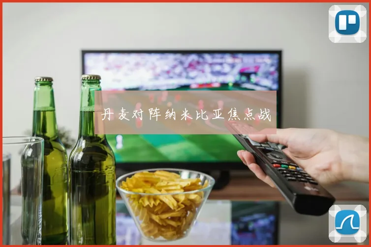丹麦对阵纳米比亚焦点战
